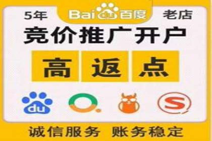 某行业巨头背后的SEM代运营服务公司